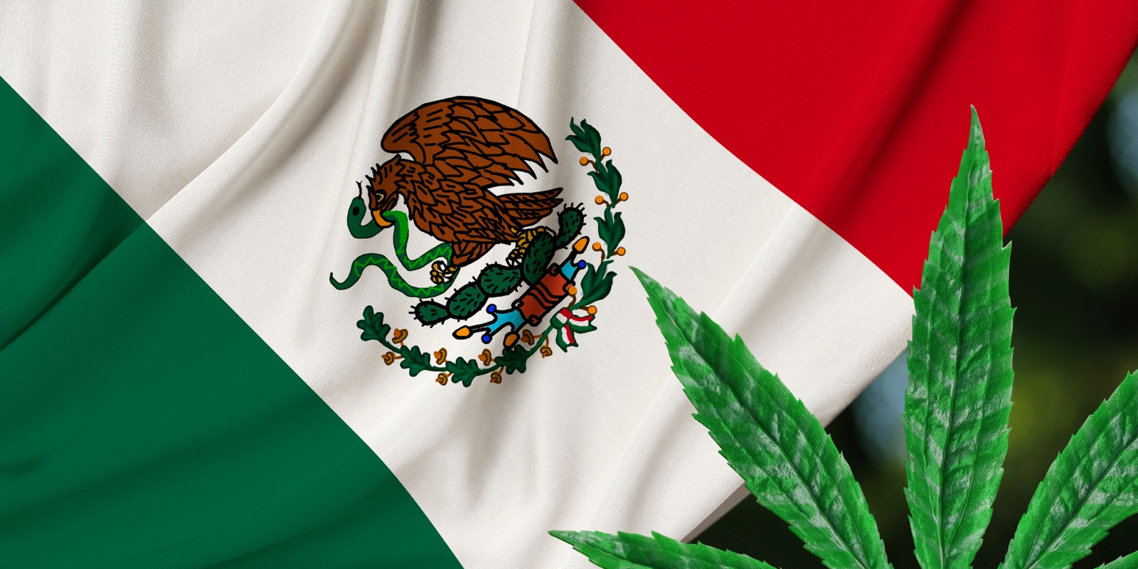 legalizacion del cannabis en Mexico