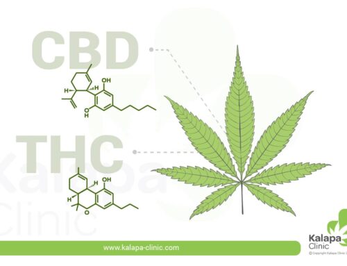 Diferencias entre el THC y el CBD