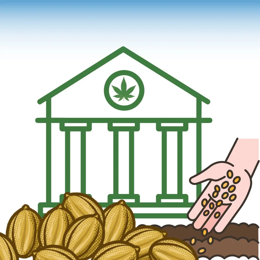Venta de semillas de marihuana