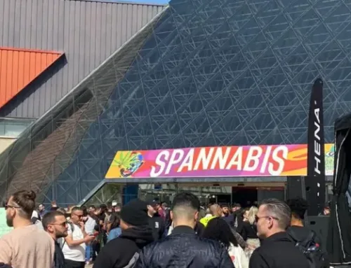 Spannabis Bilbao 2024