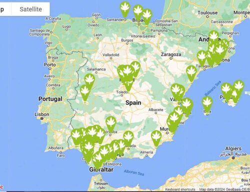 «GrowShop Cerca de Mi»