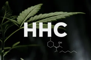 que es el HHC