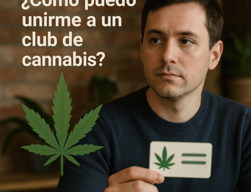 Cómo unirse a un club de cannabis en España legalmente
