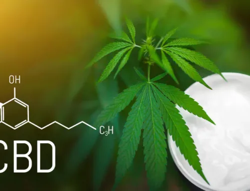 Archivo judicial por intervención de productos de CBD