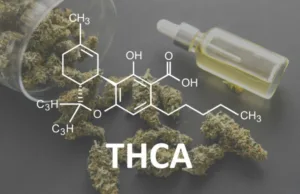 que es el thca. diferencia thc y thca. situacion legal del thca en europa y españa