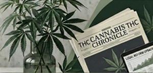 noticias de actualidad sobre cannabis, asociaciones, tiendas de cbd, legislacion cannabica en España y en Europa