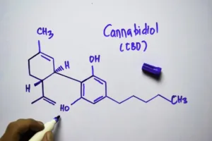 El CBD queda fuera del control internacional y Europa avanza hacia una regulación más estricta. Análisis de la Circular de la JIFE y su impacto en el sector del CBD