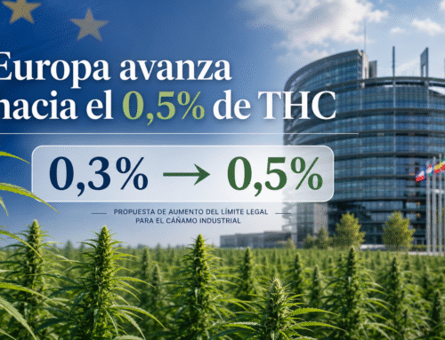 Europa avanza hacia un límite del 0,5% de THC para el cáñamo industrial