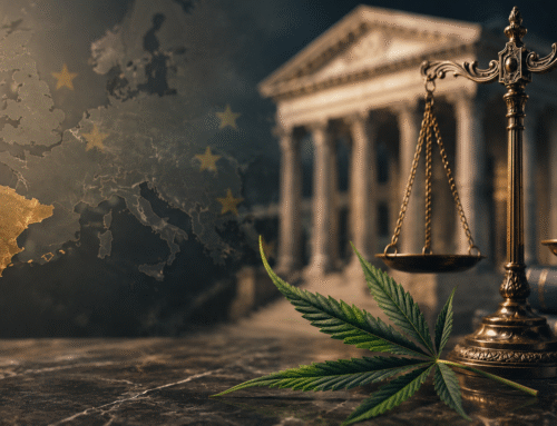 Por qué se rechazan las solicitudes de CBD como Novel Food en Europa