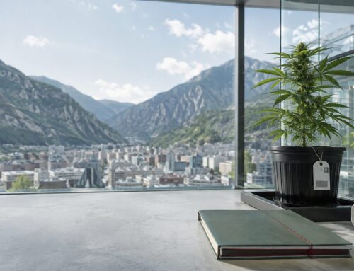 Cannabis medicinal en Andorra: nueva ley y oportunidades para empresas españolas